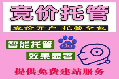 SEM推广公司案例：打造高效营销体系